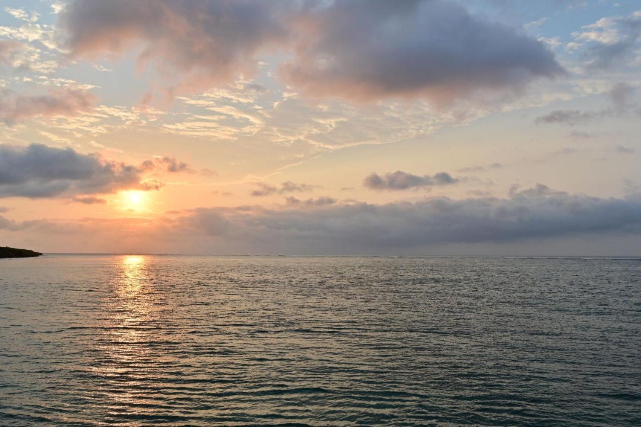 Daily & Weekly Condominium Blue Ocean Ishigaki Ishigaki  Ngoại thất bức ảnh